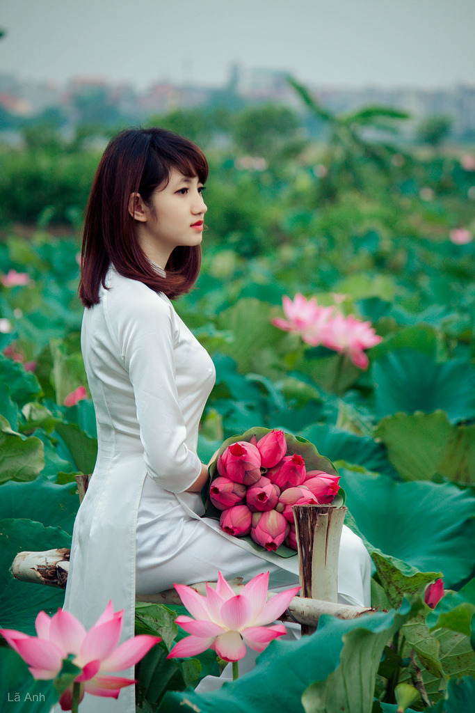 榜上佳婿电视剧全集免费观看高清下载